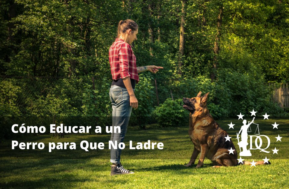 Cómo Educar a un Perro para Que No Ladre