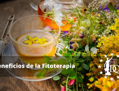 Beneficios de la Fitoterapia