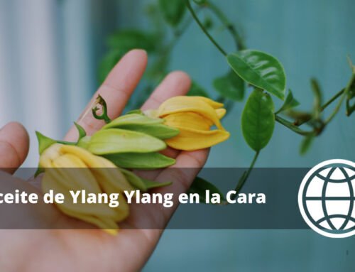 Aceite de Ylang Ylang en la Cara