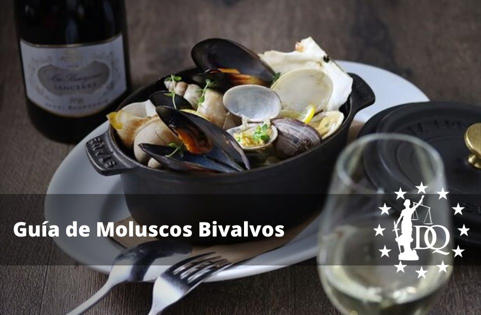 Guía de Moluscos Bivalvos