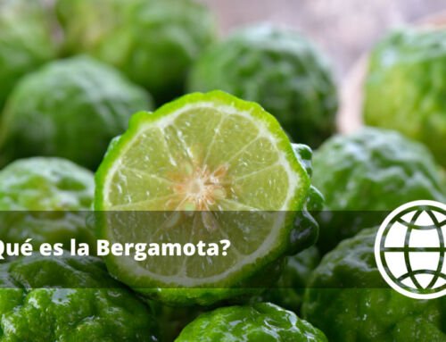 ¿Qué es la Bergamota?